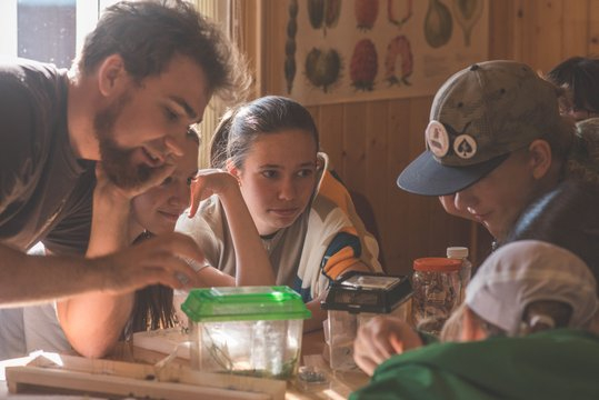 Школа «Интеллектуал»